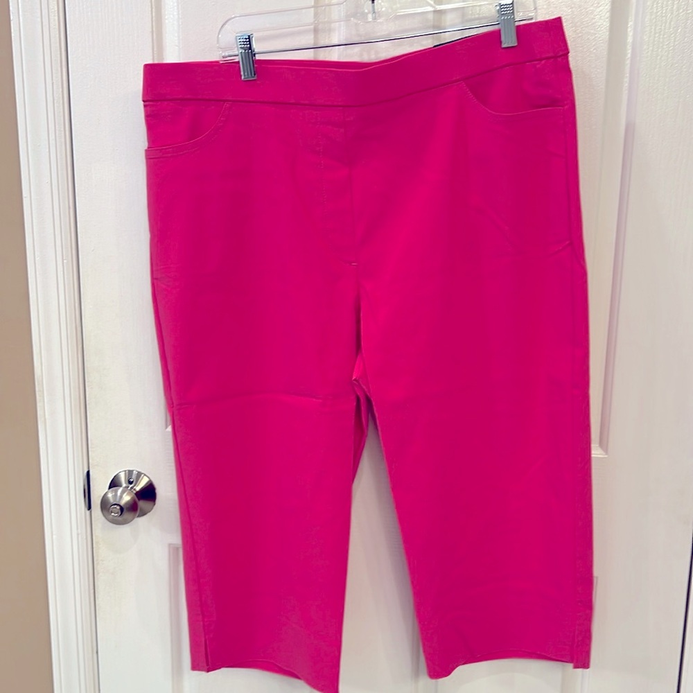 Alfred Dunner stretch capri pants